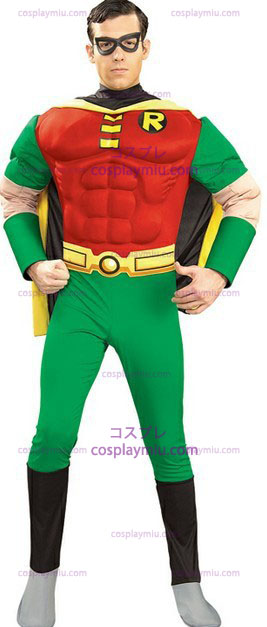 Adults Robin Costume