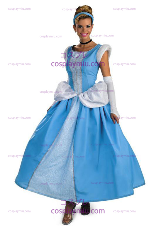 Prestige Adult Cinderella Dress Costume